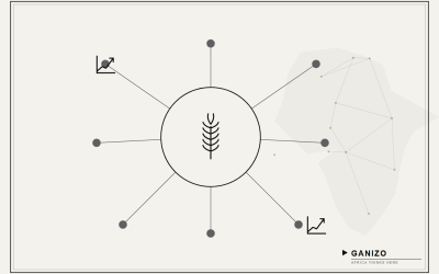 The Long History Behind Maize: From Staple Crop to Regional Food-Security Asset