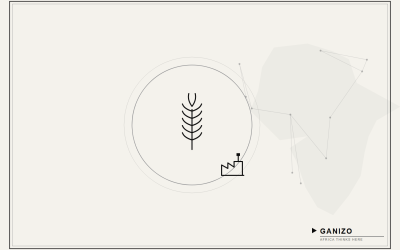 The New Momentum Behind Maize: From Staple Crop to Regional Food-Security Asset